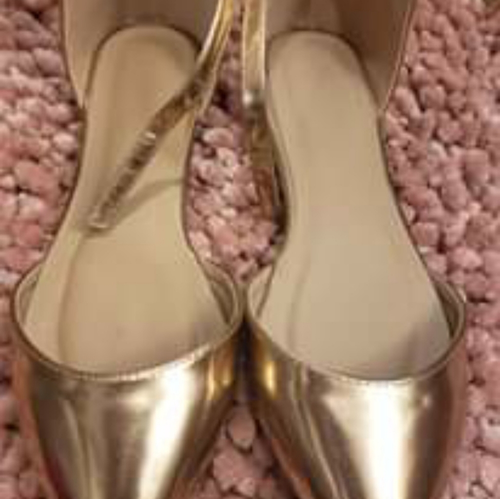 Pointed Toe Flats